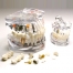 T09 modello denti estraibili 2